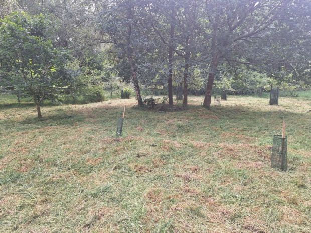 Island maintenance from the&nbsp;Ranger