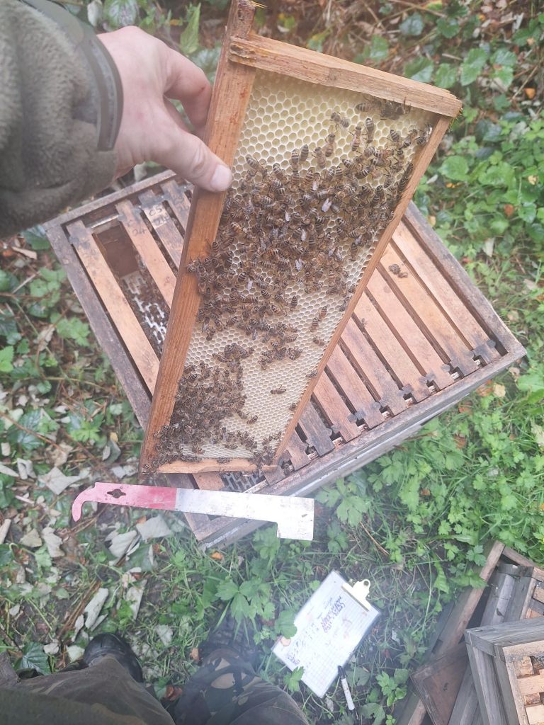 20240803_1205079178574899122636422