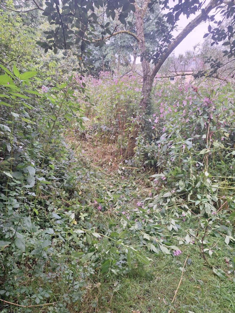 wp-17257318983674680304565672107455