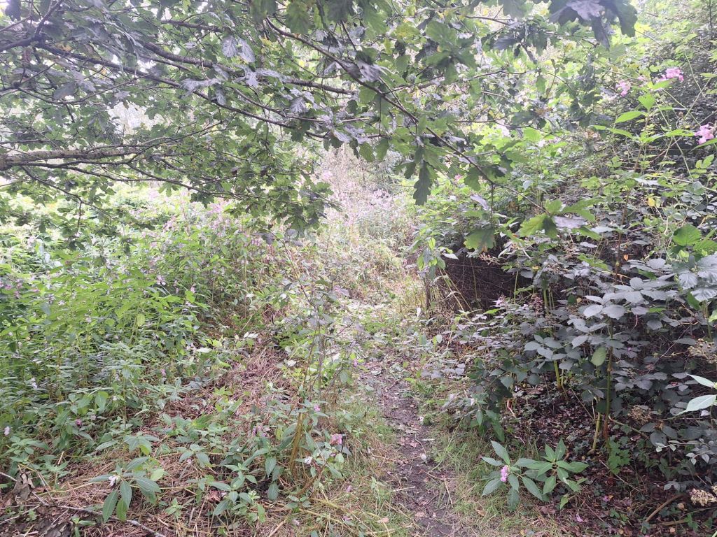 wp-17257318990145953509151438128115