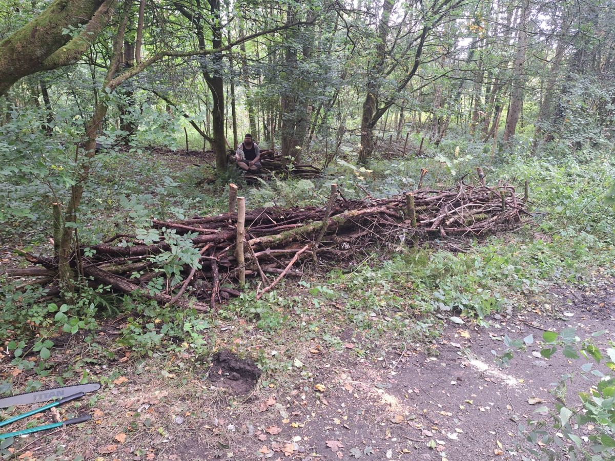 Island maintenance from the&nbsp;Ranger.